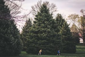 children enjoying outdoor learning by running around trees